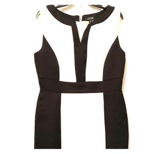 Tahari Dress